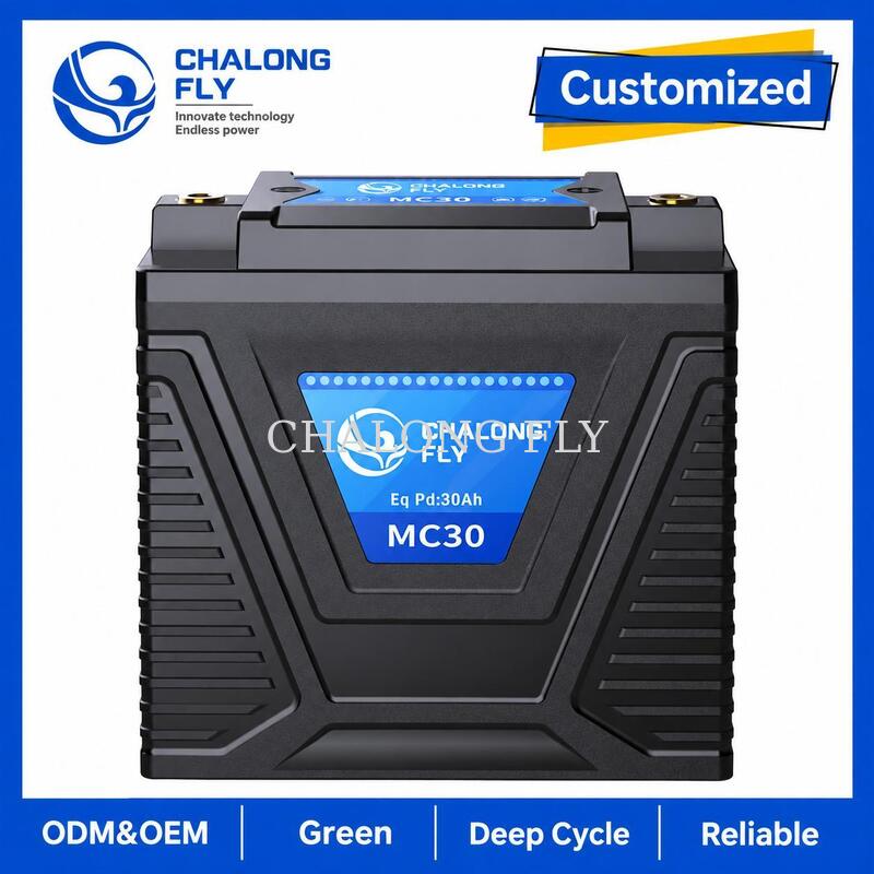 12.8V 10Ah LiFePO4 Motorcycle Starter Battery 600A for 15–30Ah Lead-Acid Replacement