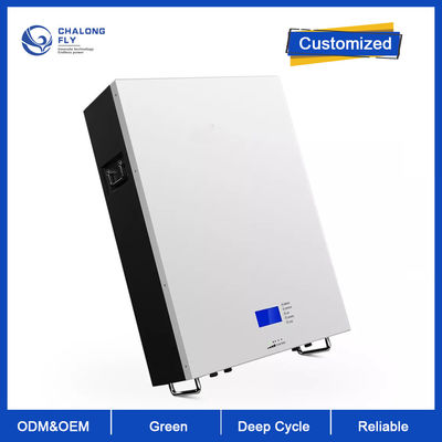 LiFePO4 batterie au lithium cycle profond OEM ODM 48V 100AH 200AH 300AH Powerwall stockage d'énergie solaire batterie au lithium