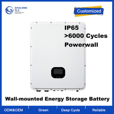 OEM ODM batterie au lithium LiFePO4 personnalisée IP65 48V Pièces de batterie au lithium solaire à domicile