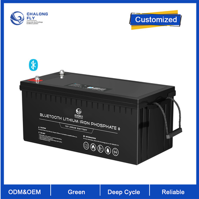 OEM ODM LiFePO4 batterie au lithium 12V 200Ah batterie au lithium batterie personnalisée batteries au lithium
