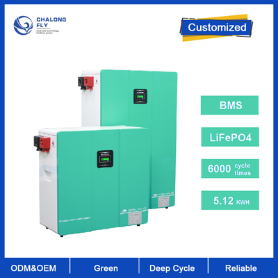 Batterie adaptée aux besoins du client d'Ion Battery Pack LifePo4 24V 48V 200Ah Powerwall de lithium pour le système à la maison solaire de stockage de l'énergie