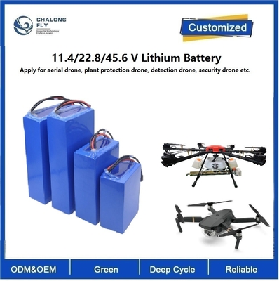 CLF OEM batterie au lithium 22000Mah LiFePO4 NCM 22.8V 33V 43.2V 6S 12s batterie au lithium pour détecteur aérien
