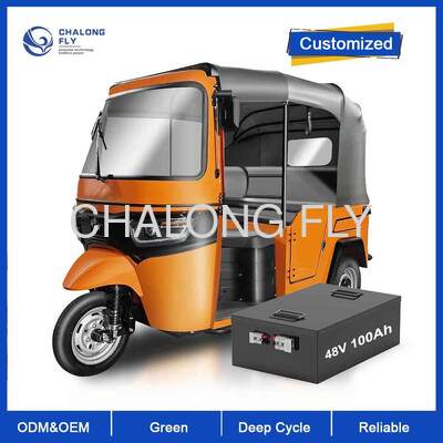 Batterie lithium-ion LiFePO4 haute puissance 48V25AH 50AH 75AH 100AH contrôleur de moteur de véhicule électrique 2000W 3000W 5000W batterie EV