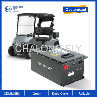 Une batterie LiFePO4 de 200V à 300Ah pour chariot élévateur à fourche