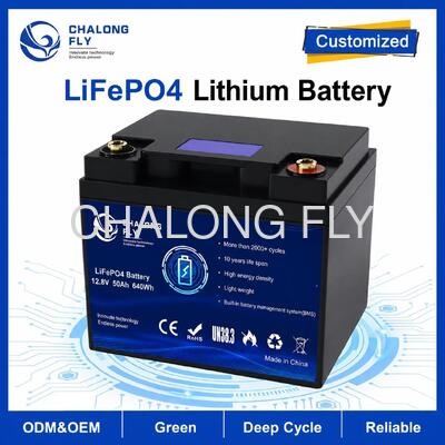 Batterie LiFePO4 personnalisée 12,8 V 50 Ah avec BMS intégré pour camping-car et alimentation auxiliaire