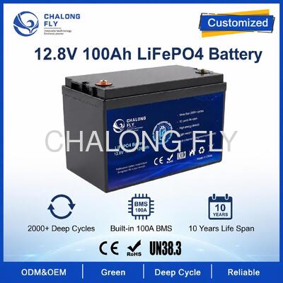 Batterie LiFePO4 personnalisée 12,8 V 100 Ah avec BMS pour lampadaires solaires et alimentation auxiliaire de camping-car