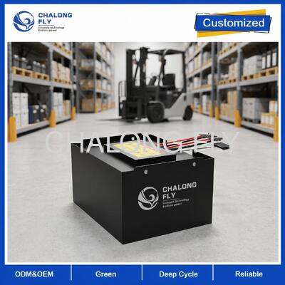 51.2V 608Ah LiFePO4 Batterie de chariot élévateur avec surveillance 4G et affichage SOC