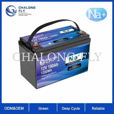 12V 100Ah batterie à basse température à cycle profond sodium-ion pour camping-car d'hiver et alimentation hors réseau