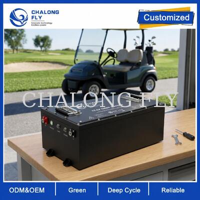 Batterie de chariot de golf LiFePO4 OEM ODM avec tension personnalisée, BMS personnalisé et communication CAN