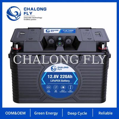 12.8V 220Ah NMEA 2000 Smart LiFePO4 Batterie marine avec intégration Victron