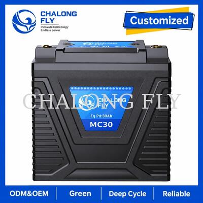 Batterie de démarrage moto LiFePO4 12,8V 10Ah 600A pour remplacement de batterie plomb-acide 15–30Ah