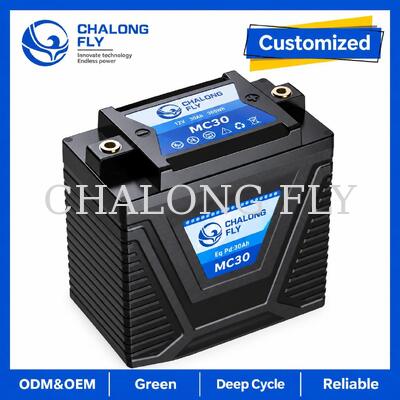 Batterie de démarrage moto LiFePO4 12,8V 5Ah 300A pour remplacement plomb-acide 8–14Ah