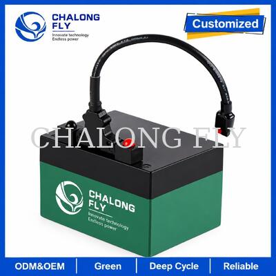 12.8V 18Ah 24Ah LiFePO4 Golf Trolley batterie avec connecteur T-Bar