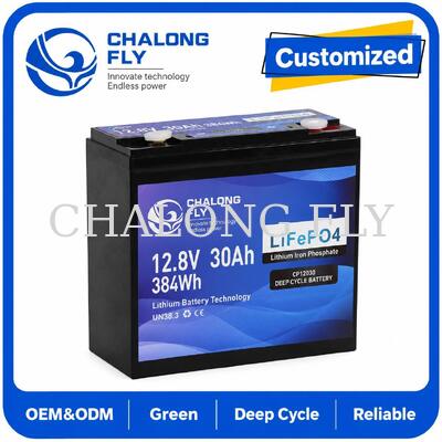 12.8V 30Ah LiFePO4 batterie à cycle profond avec 384Wh d'énergie et Smart BMS pour les systèmes 12V