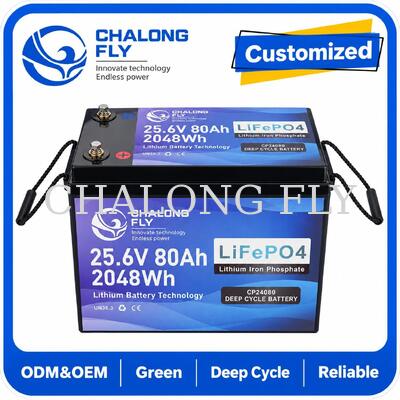 25.6V 70Ah LiFePO4 Batterie avec diagnostic à distance Bluetooth et 1.792kWh pour les scooters de mobilité et les fauteuils roulants