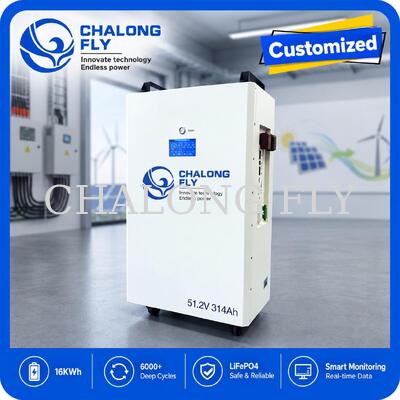 51.2V 300Ah 15.36kWh LiFePO4 batterie de stockage d'énergie pour la maison pour le système de stockage d'énergie résidentiel