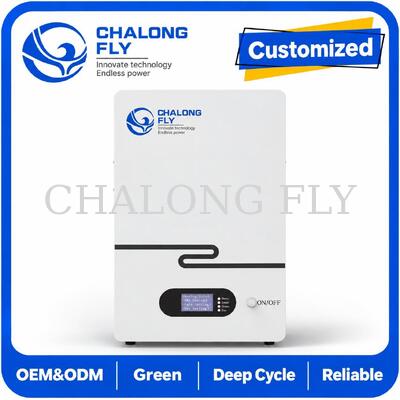 48V 51.2V 5kWh 10kWh LiFePO4 batterie résidentielle de stockage d'énergie pour les systèmes de batterie solaire domestique