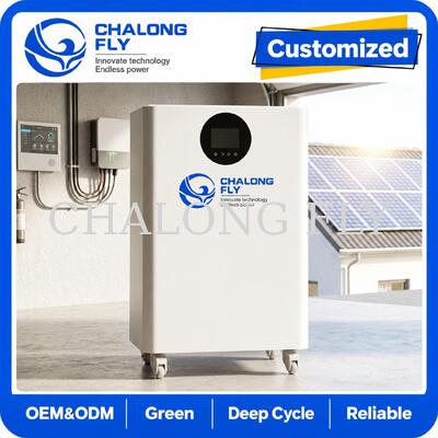 Système de stockage d'énergie solaire tout-en-un LiFePO4 de 16 kWh avec onduleur hybride de 12 kW pour système de stockage d'énergie résidentiel