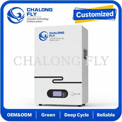 Système de stockage d'énergie résidentiel LiFePO4 51,2 V monté au mur, batterie solaire domestique pour alimentation de secours